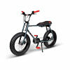 RUFF CYCLES LIL’BUDDY 2022 Anthrazit Rot Active Line 300Wh Bosch Motor