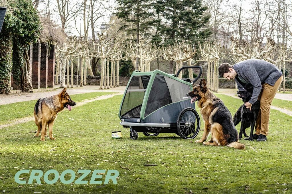 Titelbild News Seite Croozer