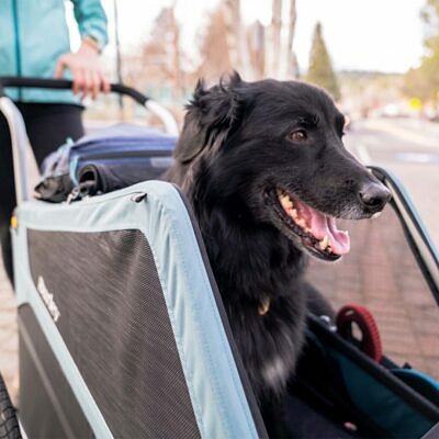 1 BURLEY Bark Ranger XL 2022 | Hundeanhänger 5