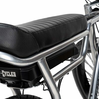 RUFF CYCLES Biggie | Delirium Silver | mit 300Wh Bosch CX Akku 5