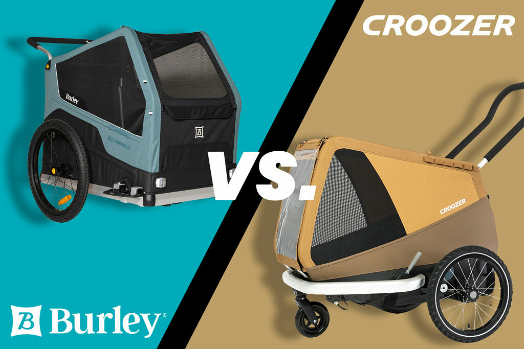 Titelbild Newsartikel - Burley vs. Croozer